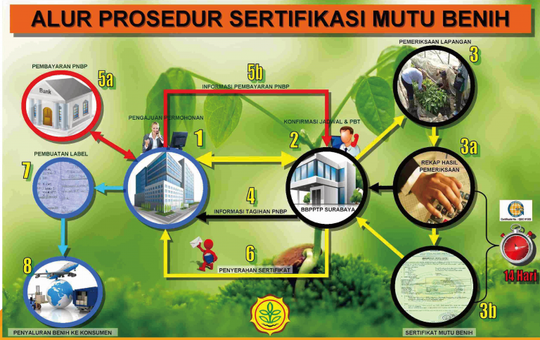 Balai Besar Perbenihan Dan Proteksi Tanaman Perkebunan » Sertifikasi ...